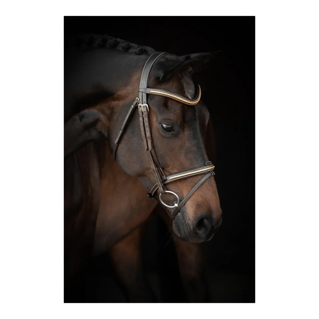 26105 horse