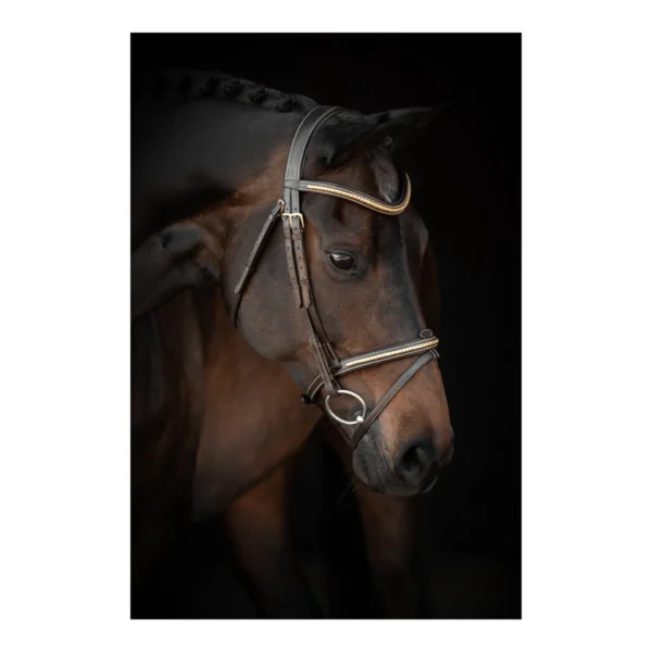 26105 horse