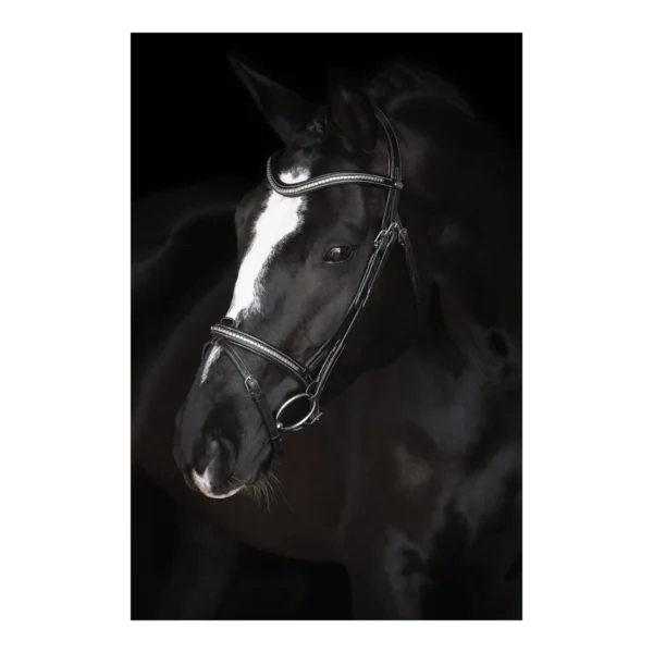 26201 horse