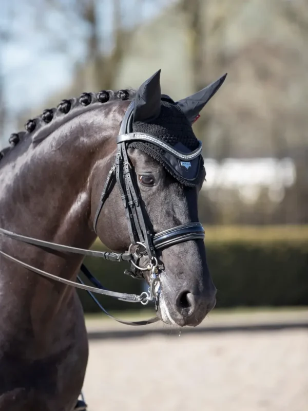 Lm loireflyhood black2 hr 2000x